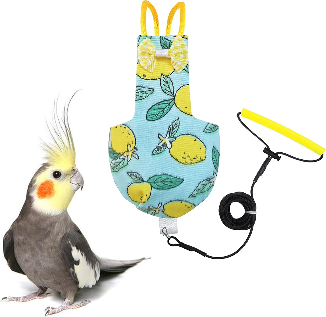 VANFAVORI Bird Diaper Flight Suit with 80-inch Leash, S Size