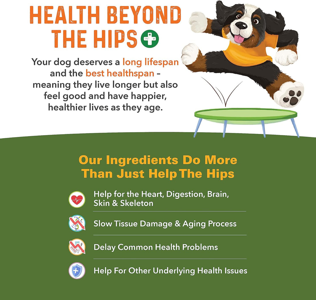 Bernie's Healthy Hips, Hip and Joint Supplement for Dogs