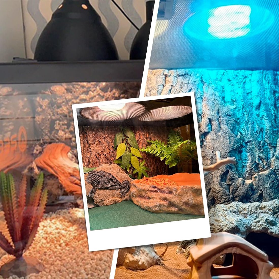 Reptile Lamp Bulb Fixture 5.5 Inch Deep Dome with Switch