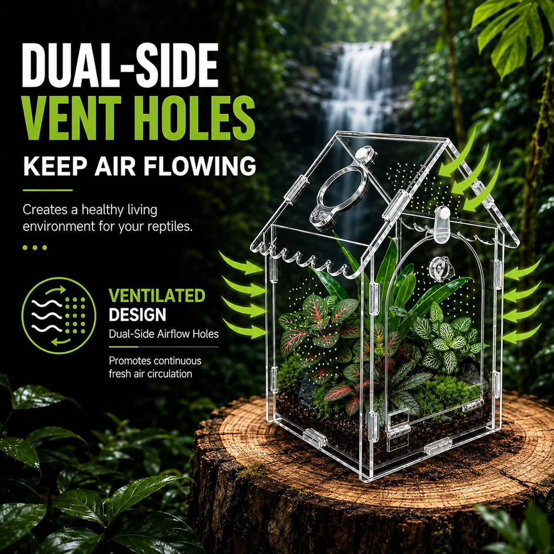 Jumping Spider Enclosure, House-Shaped Acrylic Habitat, Magnetic Door