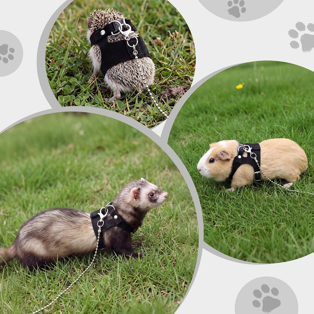 4pcs Bearded Dragon Harness and Leash Set for Small Reptile