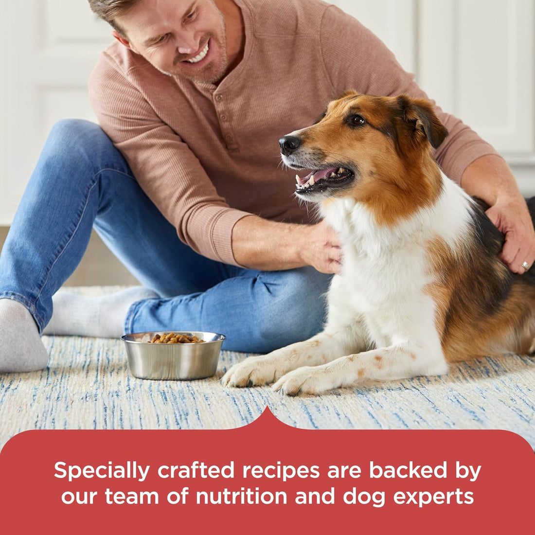 Nutrish Salmon Dry Dog Food, 4.5 lb. Bag (Rachael Ray)