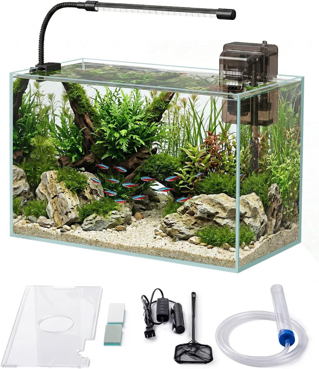 5 Gallon Glass Aquarium Starter Kit, Rimless Fish Tank