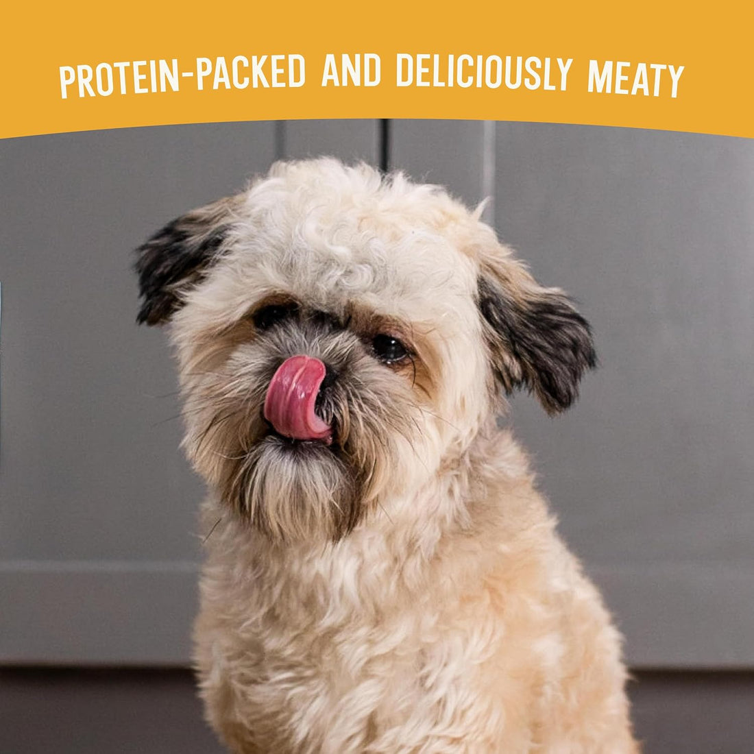 Open Farm Air Dried Dog Food, Grain-Free Harvest Chicken Recipe