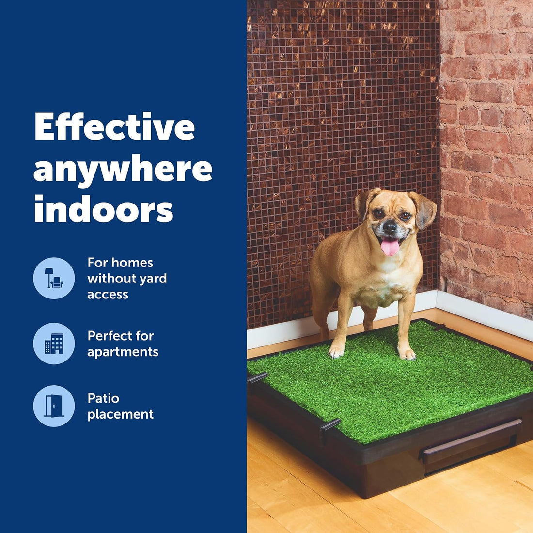 PetSafe Pet Loo Portable Dog Potty, Medium