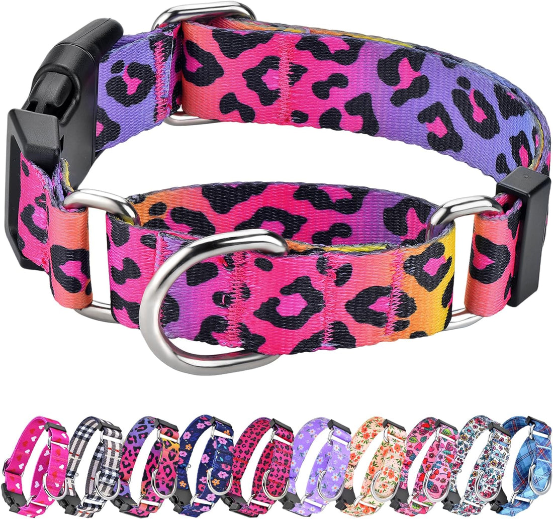 Martingale Dog Collar with Buckle,Adjustable Soft Nylon with Pattern,M