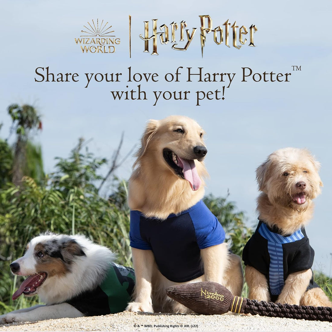 Harry Potter Platform 9 3/4 Frisbee Dog Toy