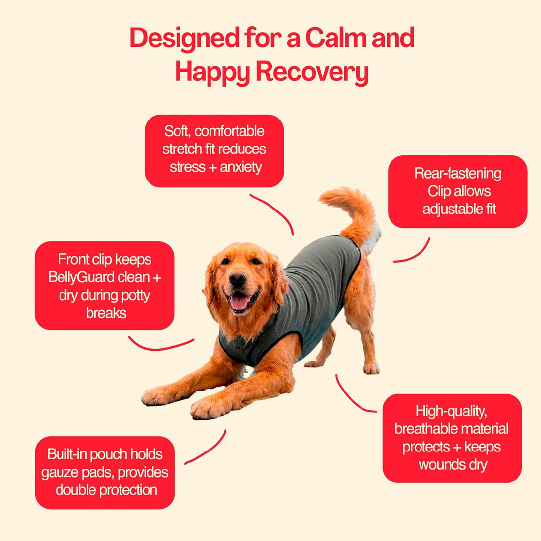 BellyGuard Dog Surgery Recovery Suit, Dog Onesie for Post-Op Care