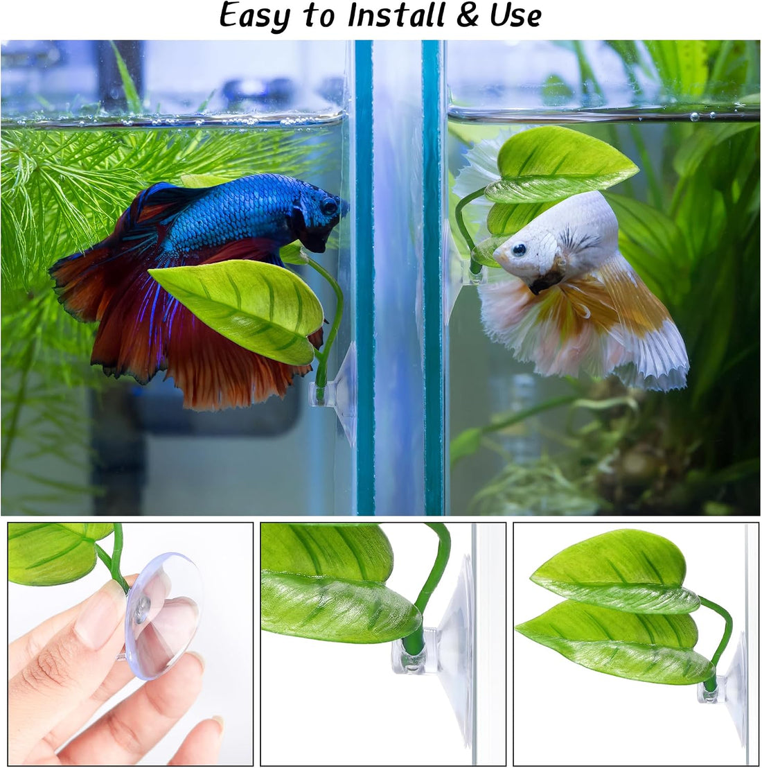 URATOT 4 Pack Betta Fish Leaf Pad Simulating The Natural Habitat