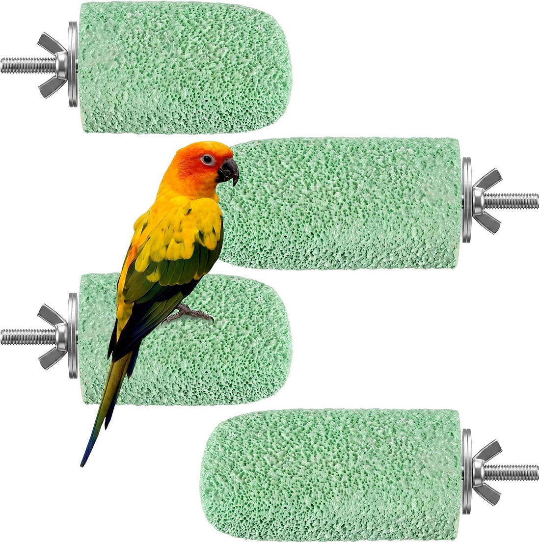 4 PCS Bird Beak Grinding Stone Pumice Lava Ledge