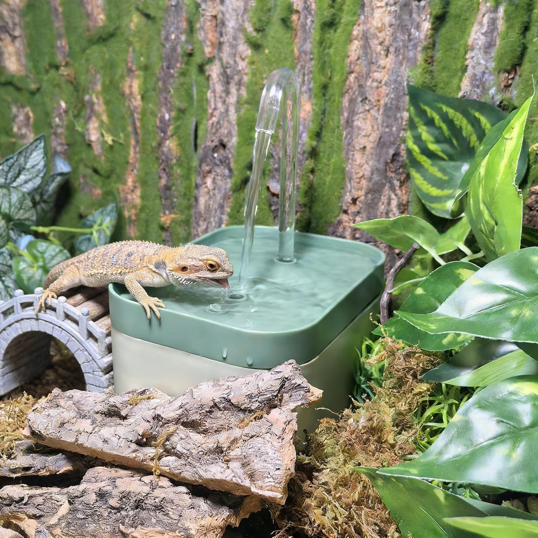 Tfwadmx Reptile Waterfall Water Bowl Fountain Lizard Drinking Dripper