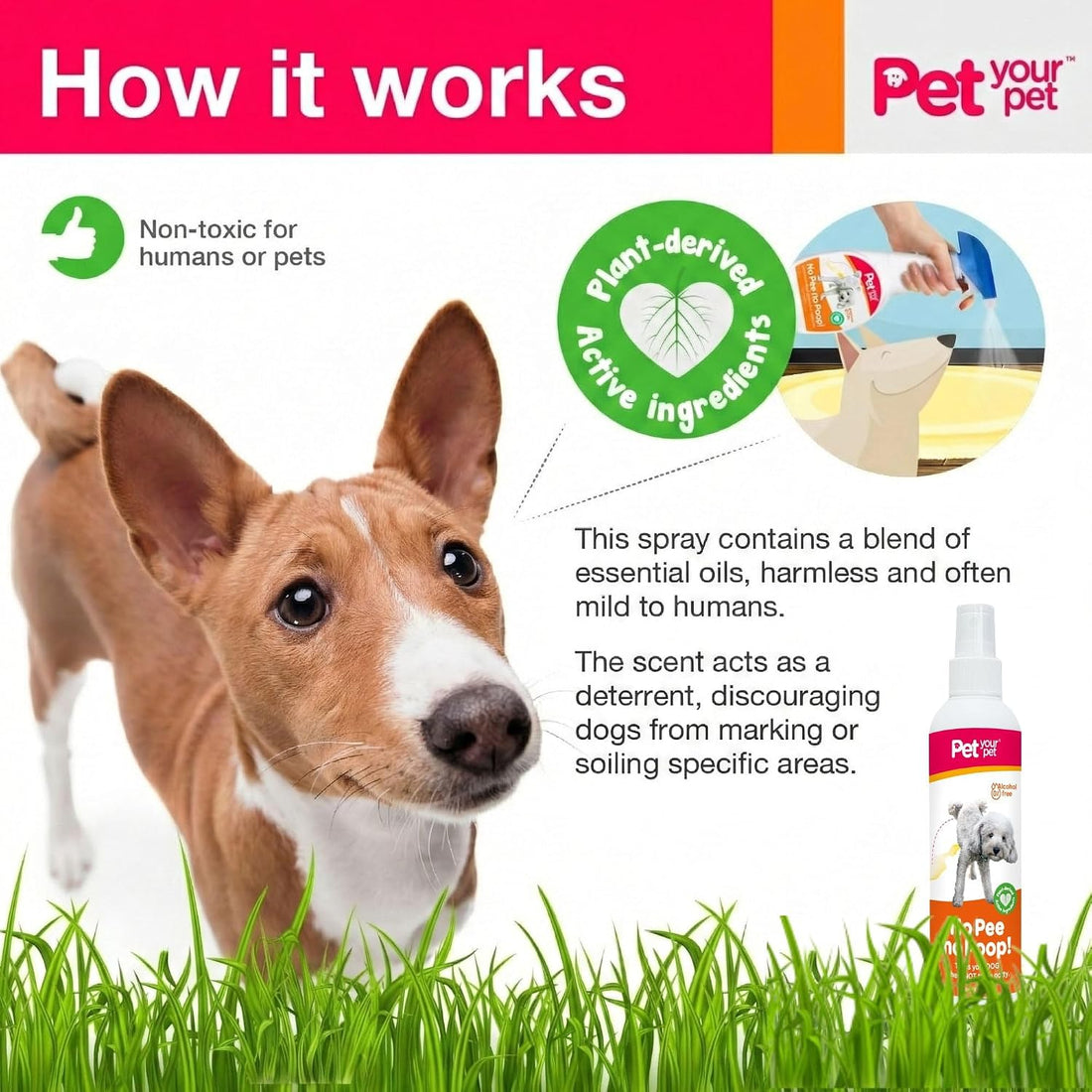 Dog Potty Training Spray No Pee No Poop, 16 Fl Oz