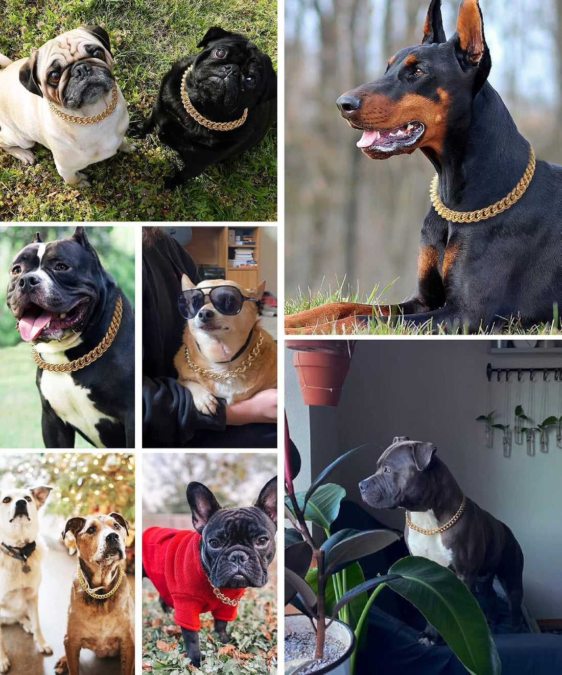 Gold Chain Dog Collar-15mm Cute Dog Collar Pet Gold Necklace Bulldog