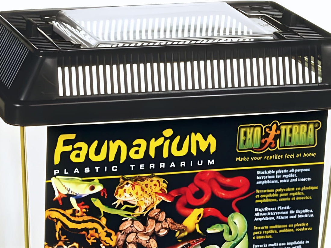 Exo Terra Faunarium Small Plastic Reptile Terrarium & Transport