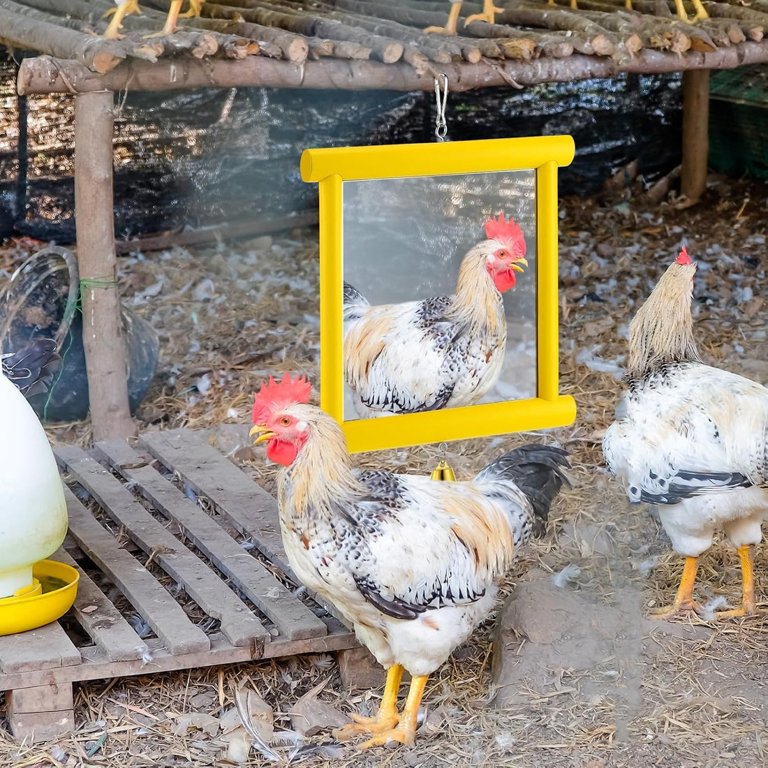 Sadnyy Chicken Mirror Toys Extra Large 10.6 x 10 Inch Big Hanging