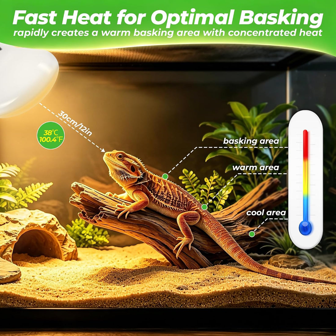 LUCKY HERP Reptile Heat Lamp Bulbs 100W