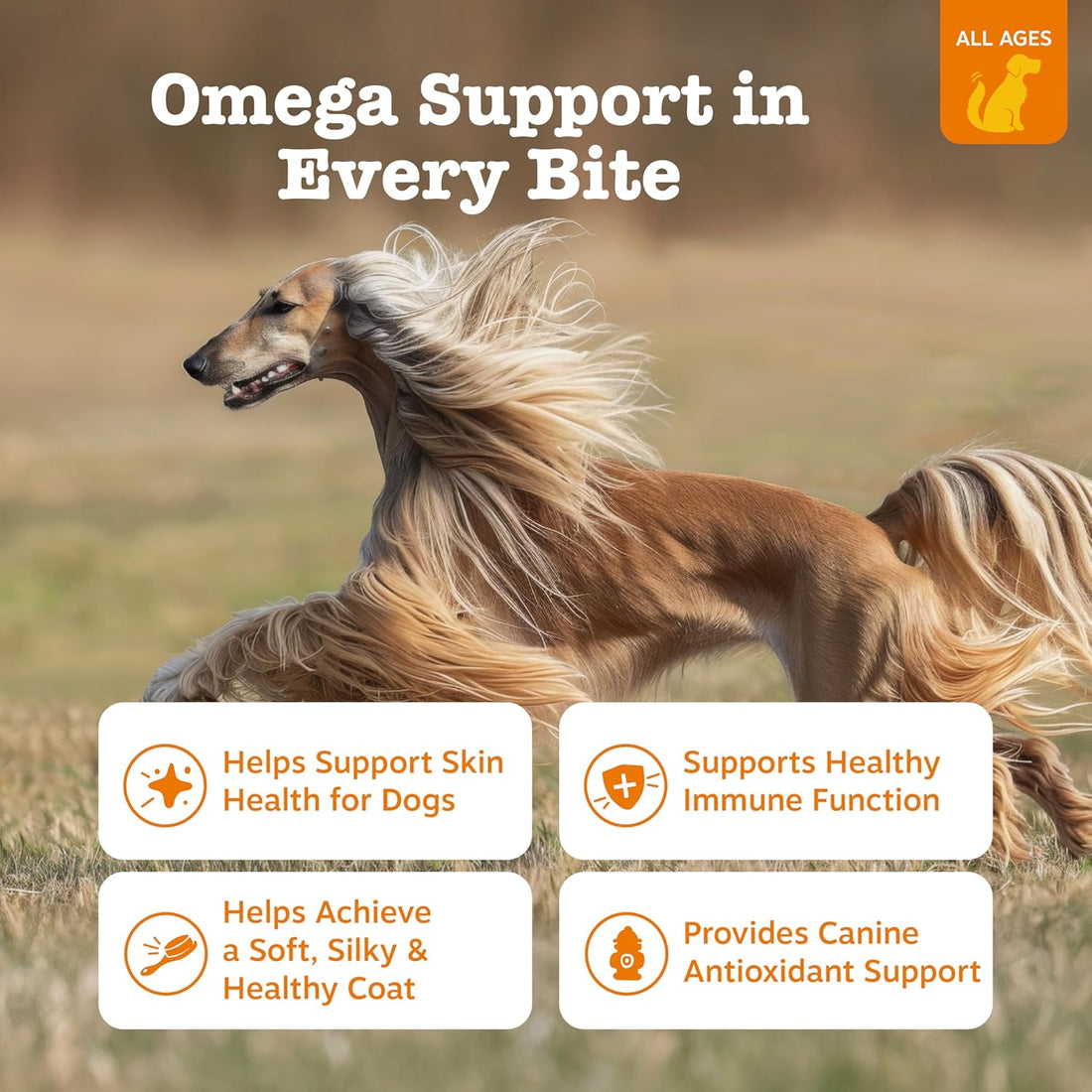 Zesty Paws Omega Fish Oil Chews for Dogs