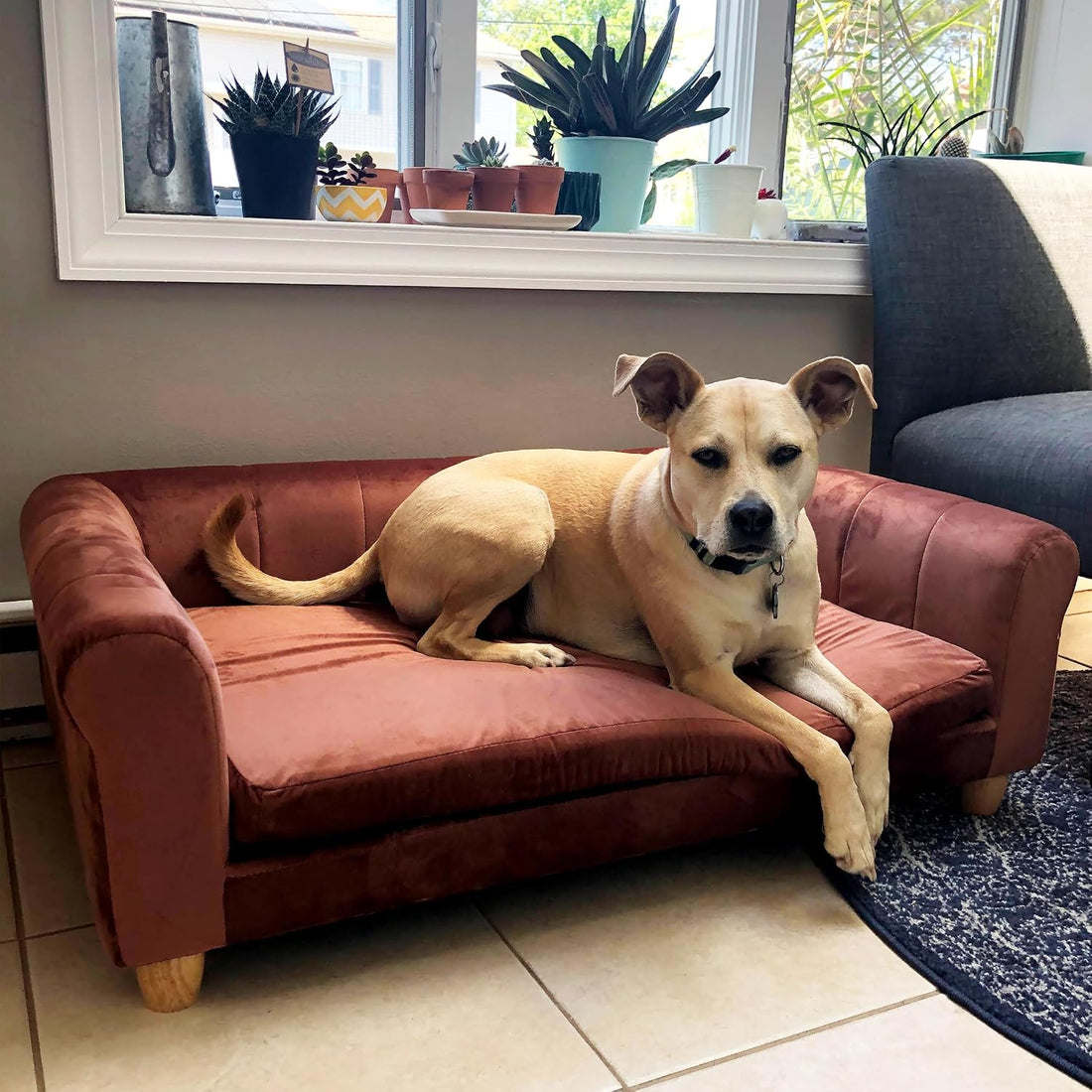 CRITTER SITTERS 42-in. Elegant Brown Faux-Velvet Rectangular Dog Sofa