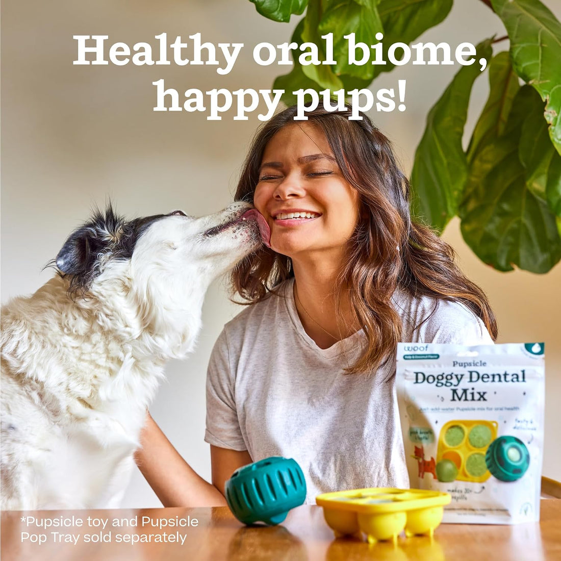 Woof Doggy Dental Pupsicle Mix