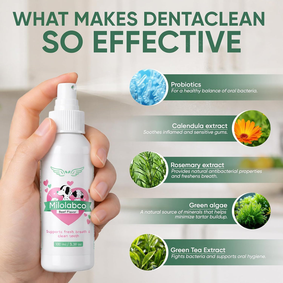 Milolabco Advanced Dental Spray