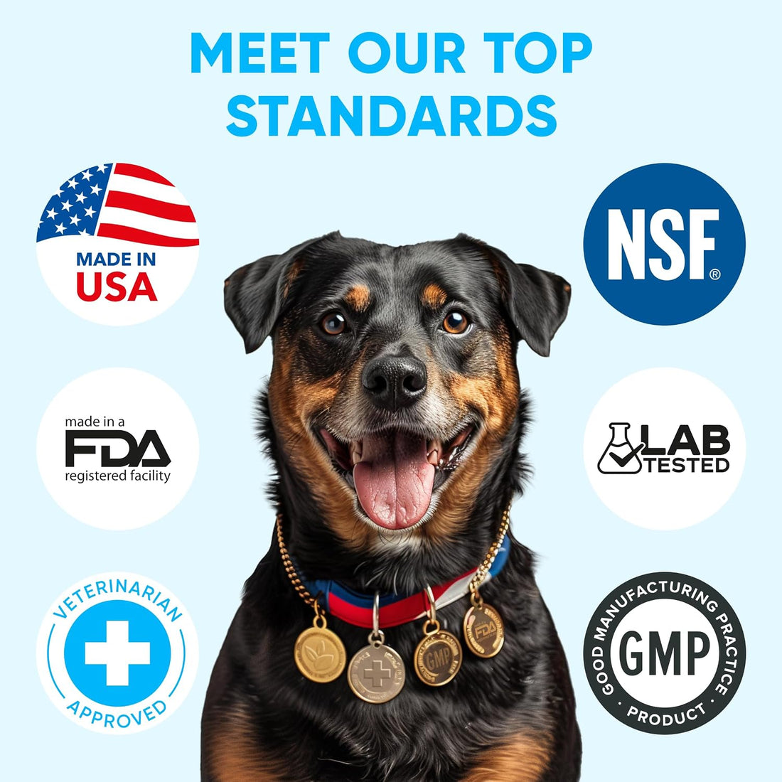 Chewable Flea and Tick Prevention for Dogs