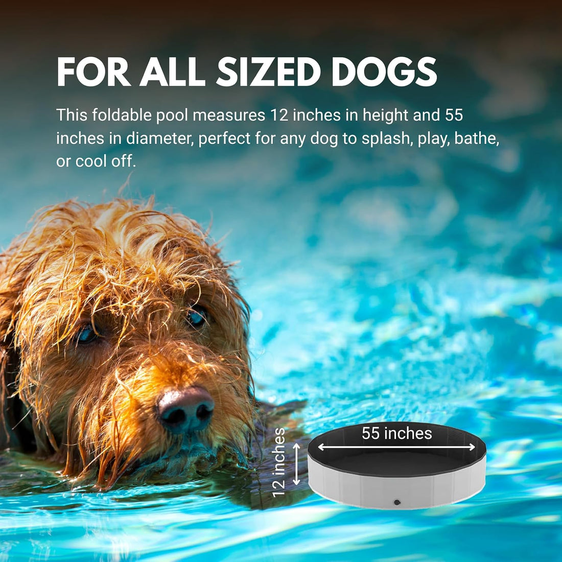 Consumable Corner - Collapsible Dog Swimming Pool