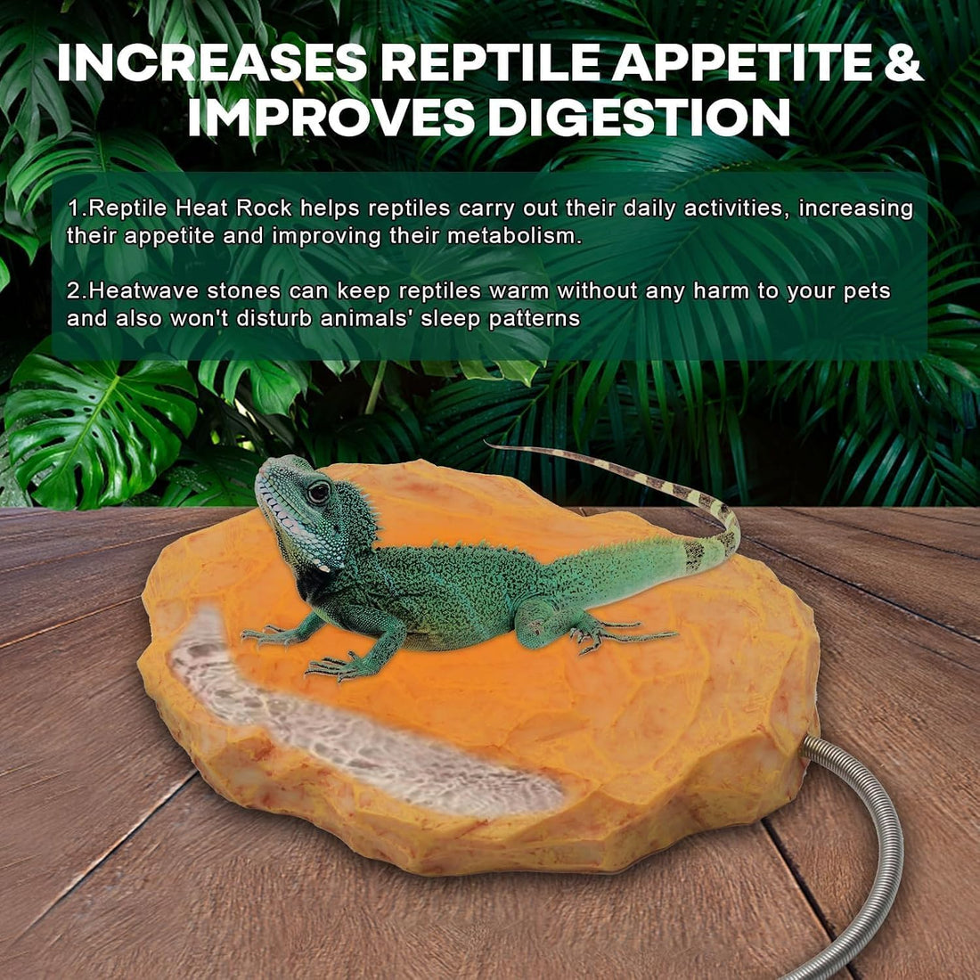 Heat Rocks for Reptiles Heat Rock with Feeding Trough & Temperature