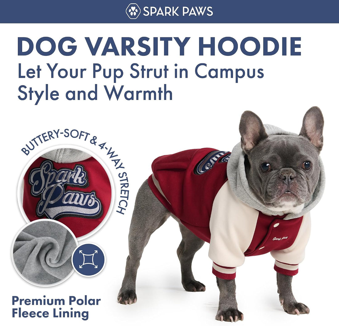 Spark Paws Varsity Dog Jacket