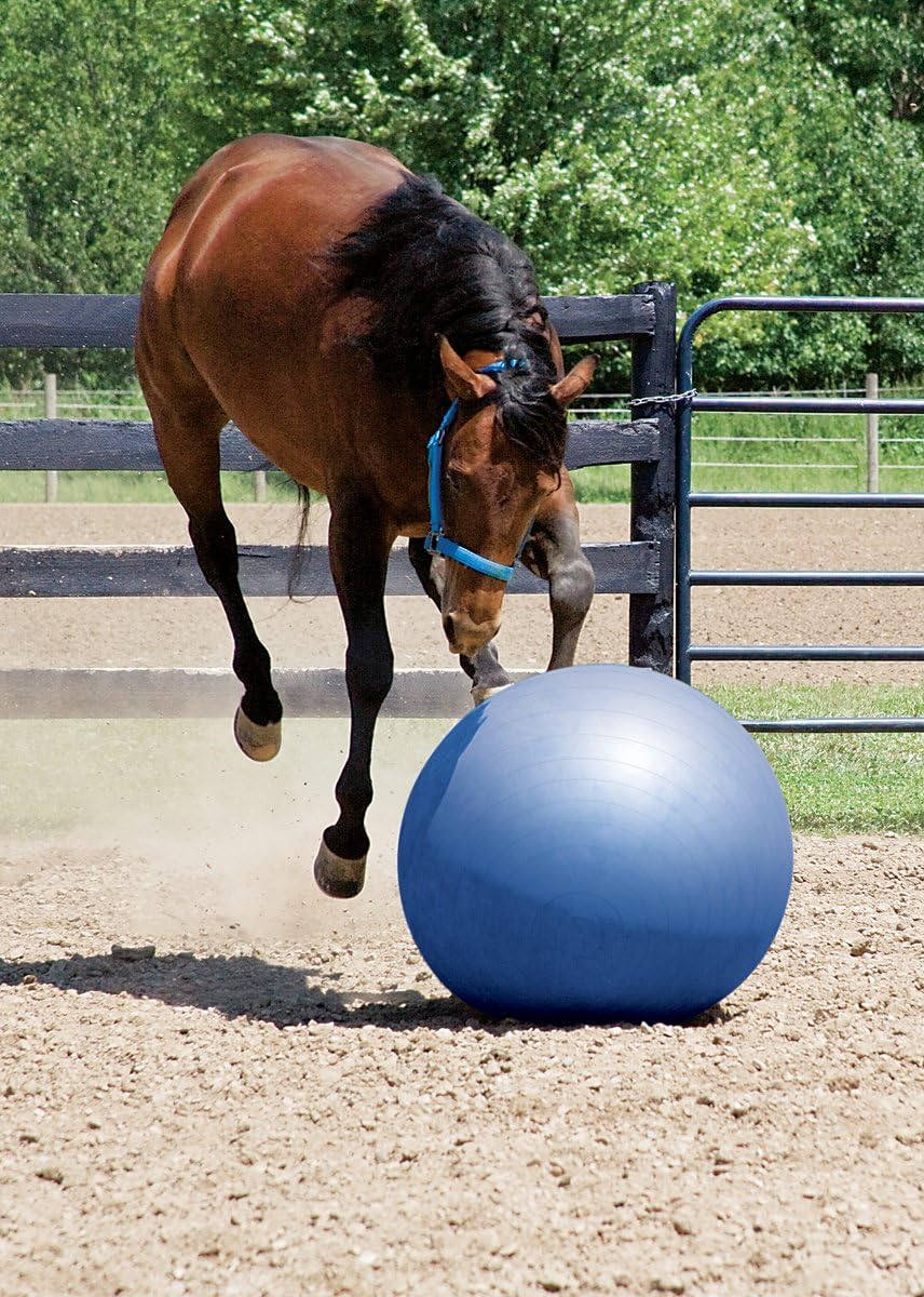Weaver Leather Stacy Westfall Activity Ball
