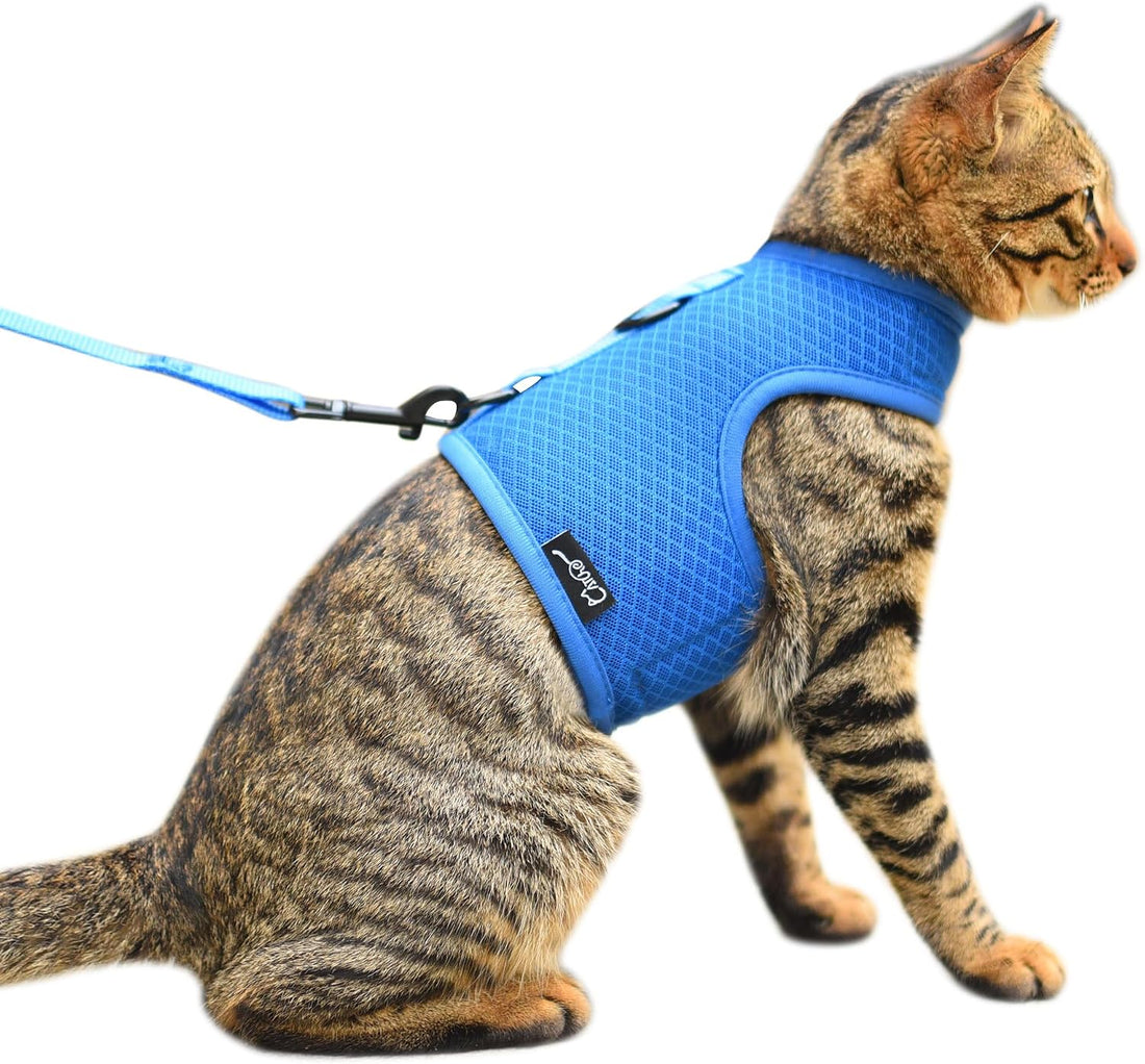 Cat Harness and Leash Set for Walking Escape Proof, Blue, Large
