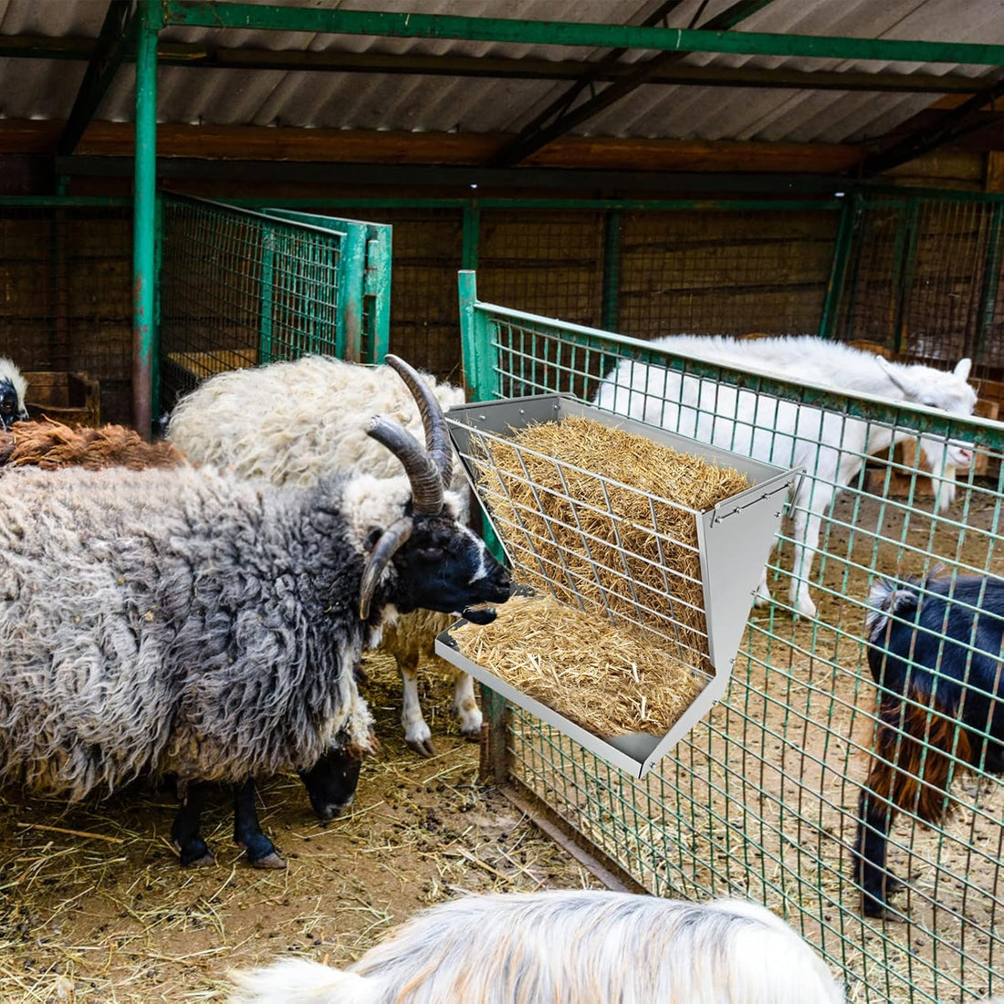 Wall Mount Hay Rack, Metal 2 in 1 Hay and Grain Feeder
