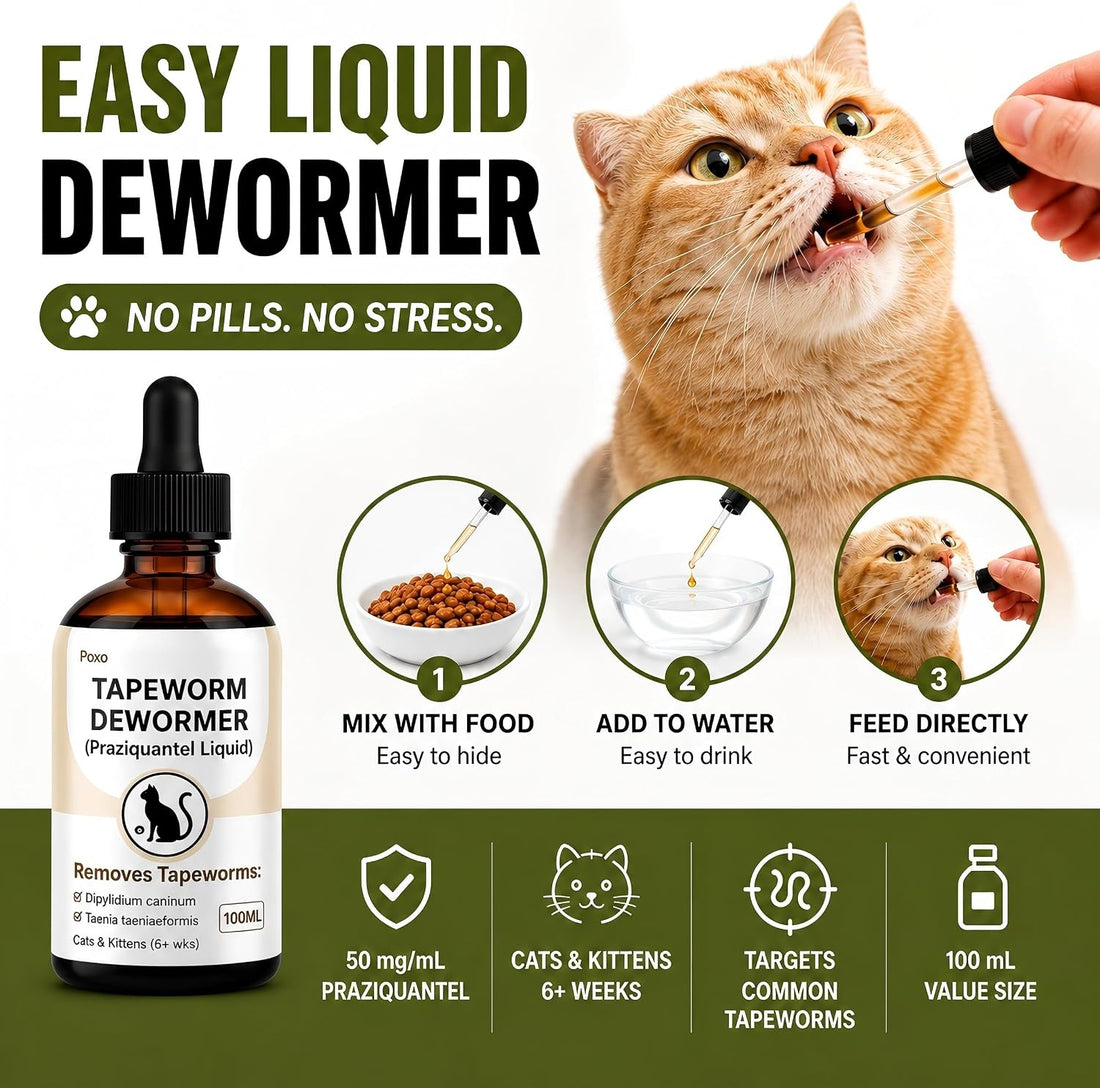 Tapeworm Treatment for Cats & Kittens, Praziquantel Liquid
