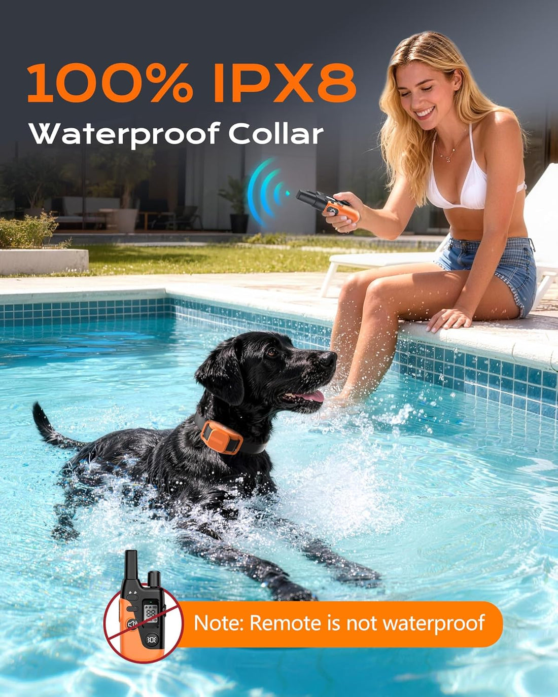 Shock Collar for Dogs- 4200FT LED Light Dog Training Collar