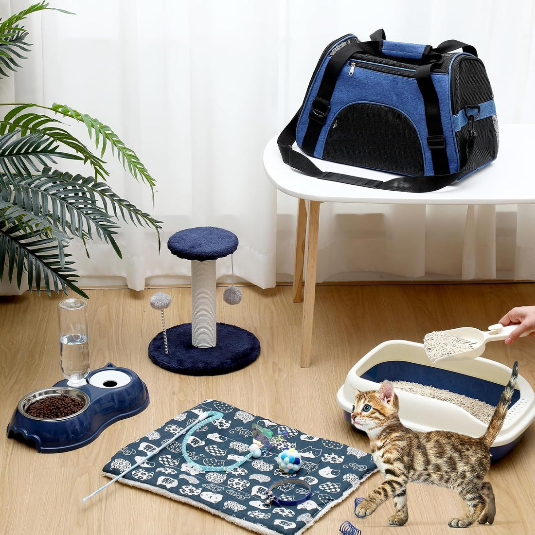 Eccliy 10 Pcs Kitten Starter Kit for Indoor