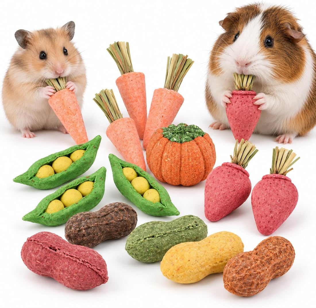 HERCOCCI 15Pcs Guinea Pig Chew Toys