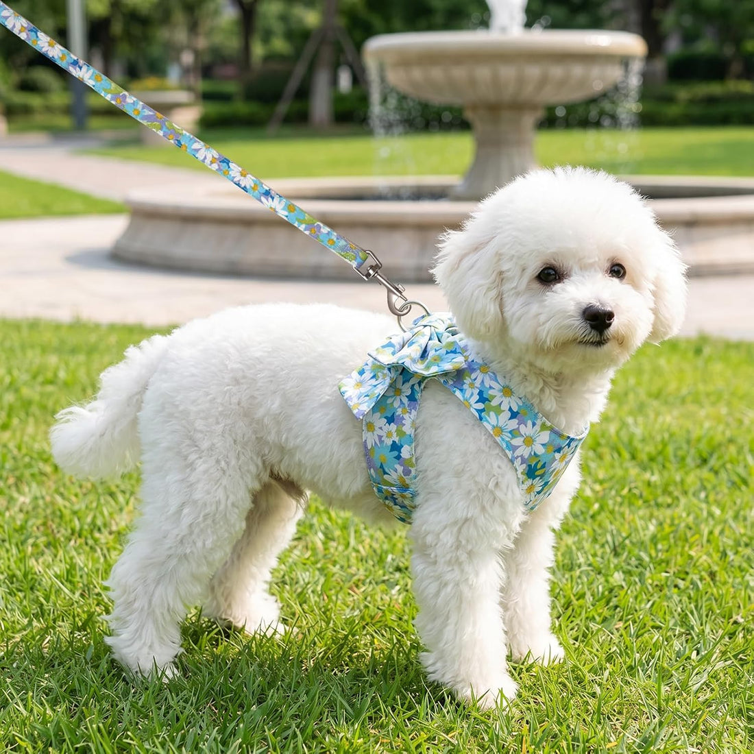 Dog Harness and Leash Set Adjustable Puppy Harness Mesh Vest Set Bow