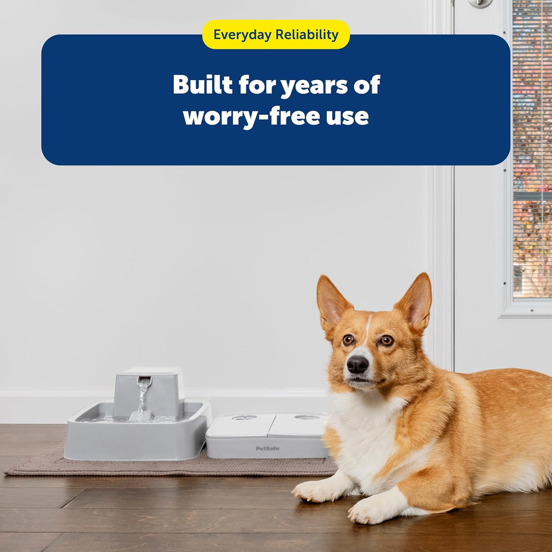 PetSafe Analog 2 Meal Programmable Pet Feeder
