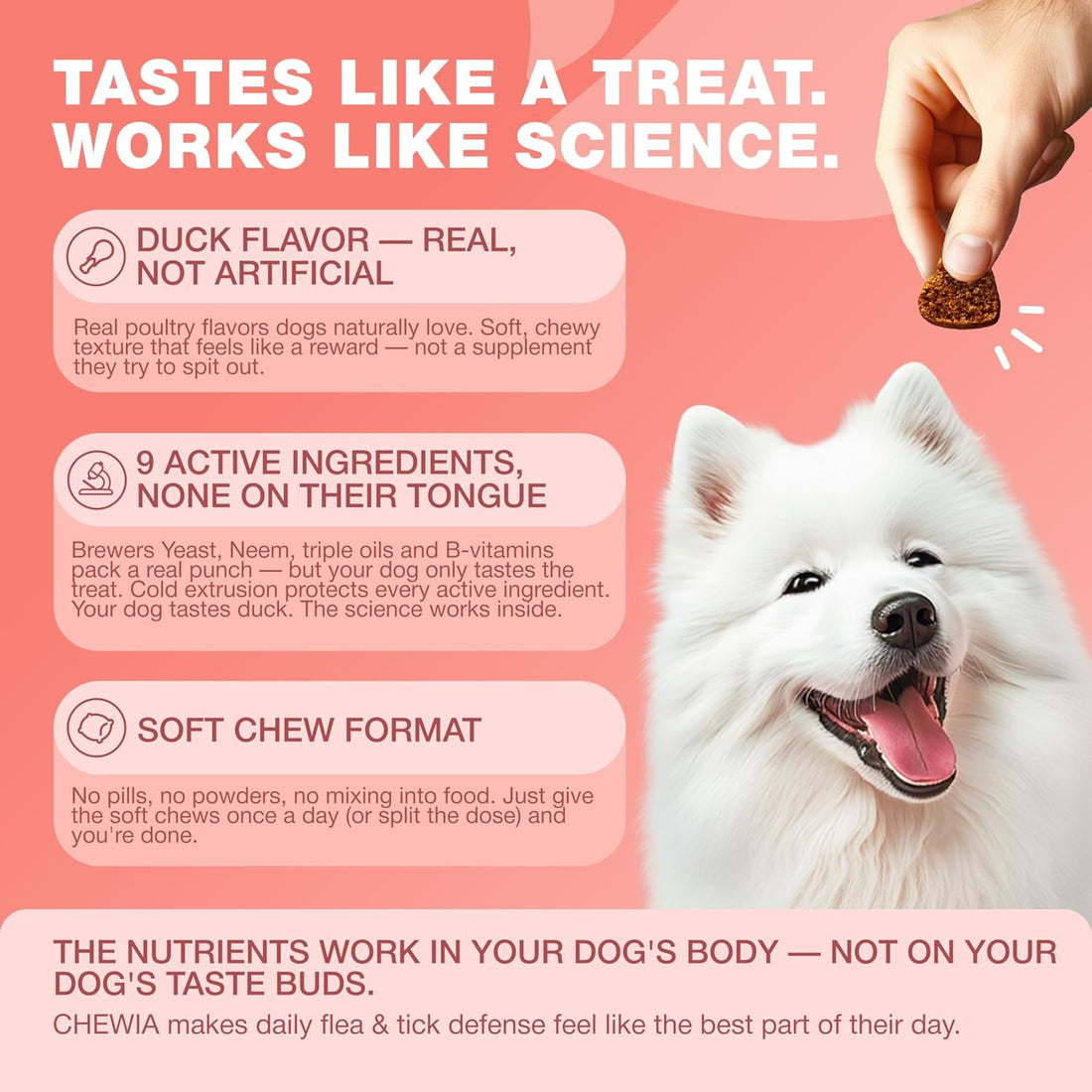Dog Flea & Tick Chews – Oral Chewable Flea and Tick Prevention