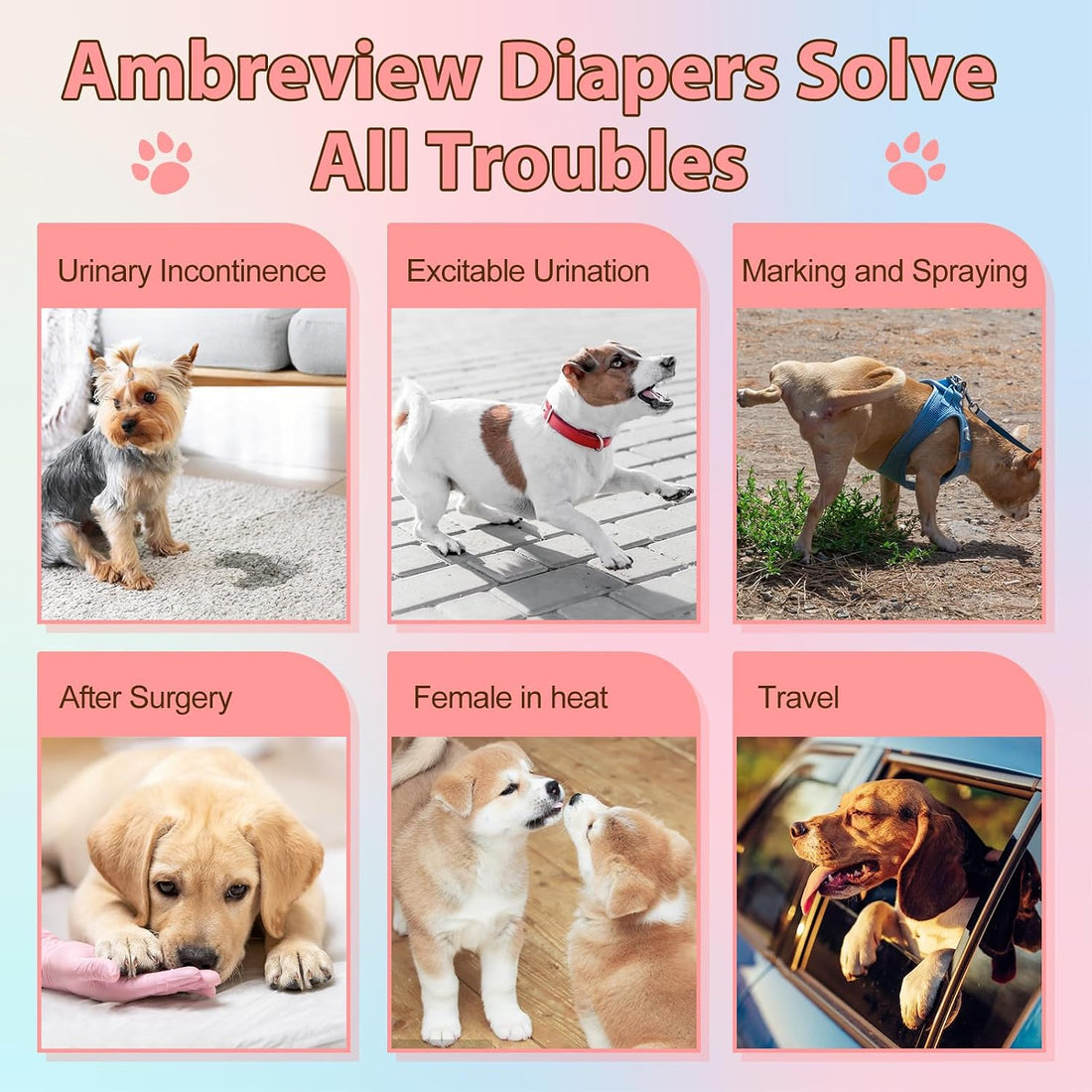 Ambreview Disposable Dog Diapers Female, Just Pull It Up, S 10 PCS