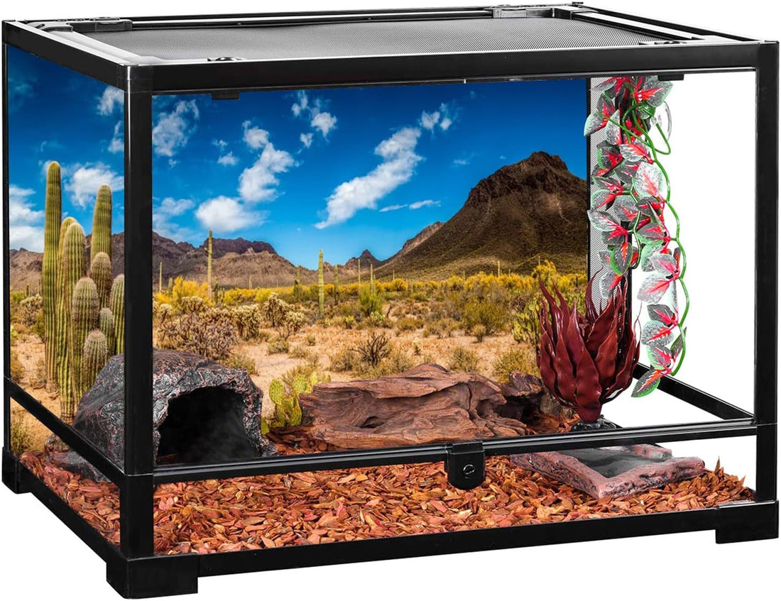 24x12 in Reptile Habitat Background Blue Sky Cactus Desert Tank