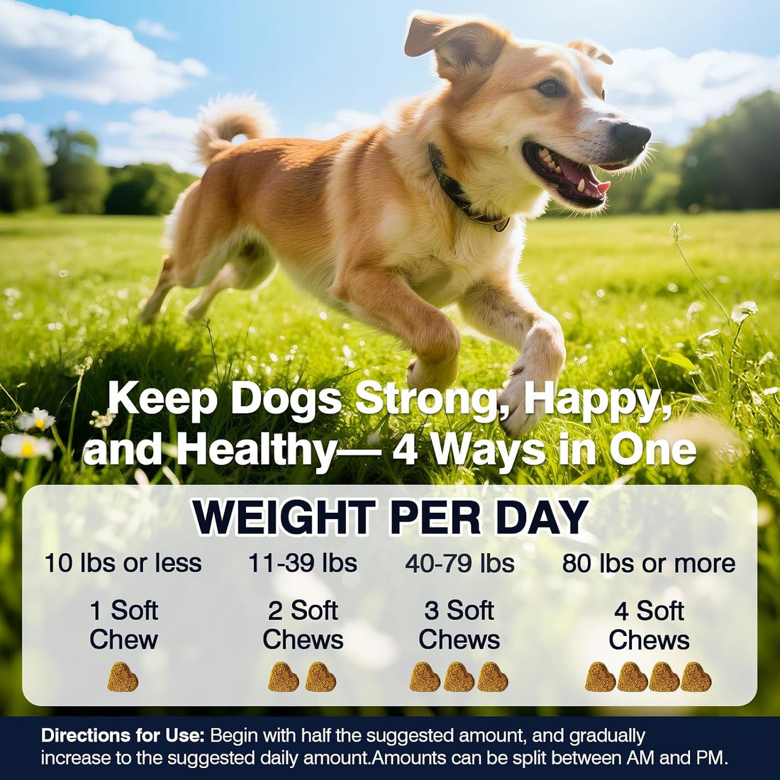 Hip and Joint Supplement for Dogs with Probiotics Glucosamine for Dog