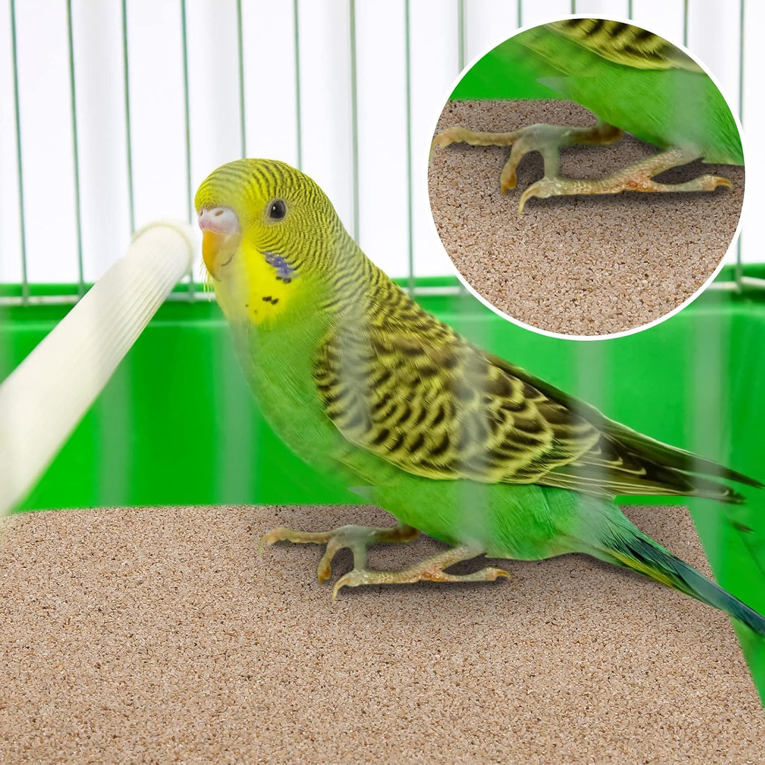 Fabbay 100 Pcs Gravel Paper for Bird Cage Gravel Liner Paper Pet