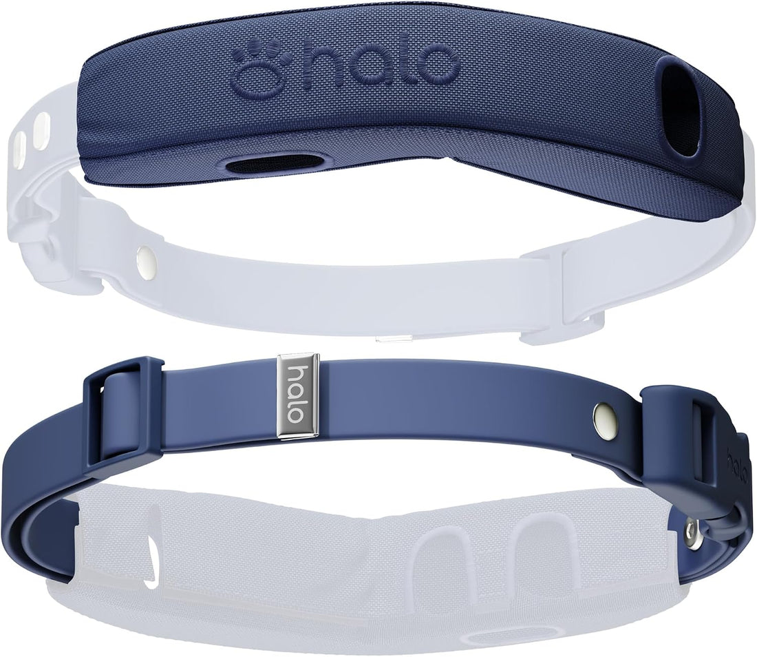 Halo Collar 5 Pro Case + Strap Kit