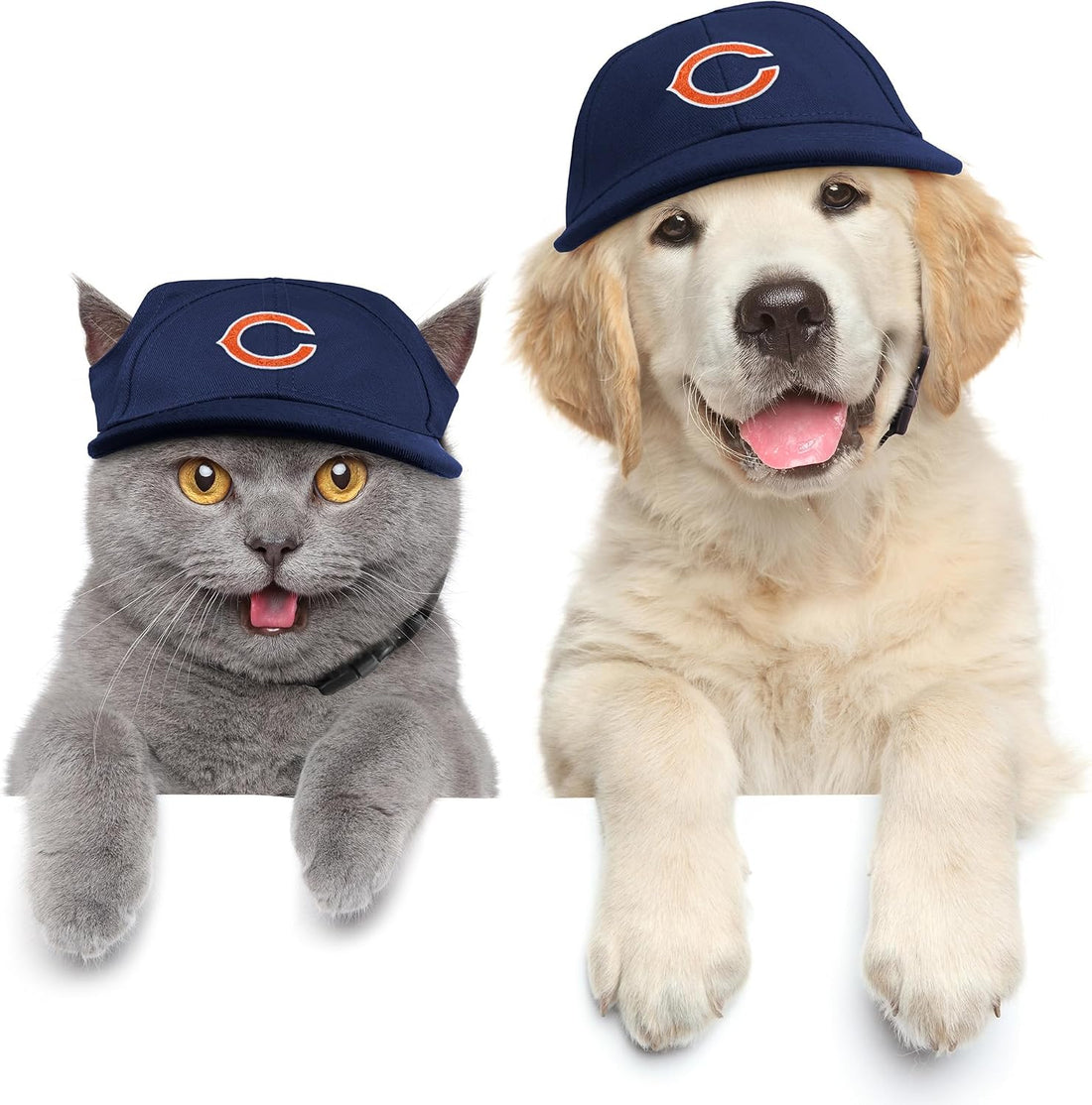 Littlearth NFL Chicago Bears Pet Baseball Hat, Team Color