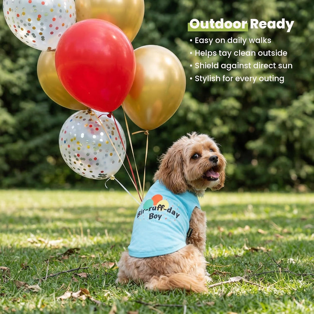 Fitwarm Birthday Boy Dog Shirt