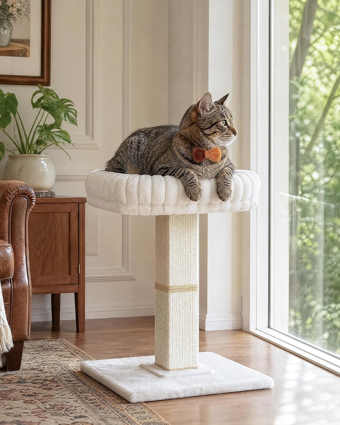 Modern Cat Scratching Post with Top Plush Bed for Indoor Cats