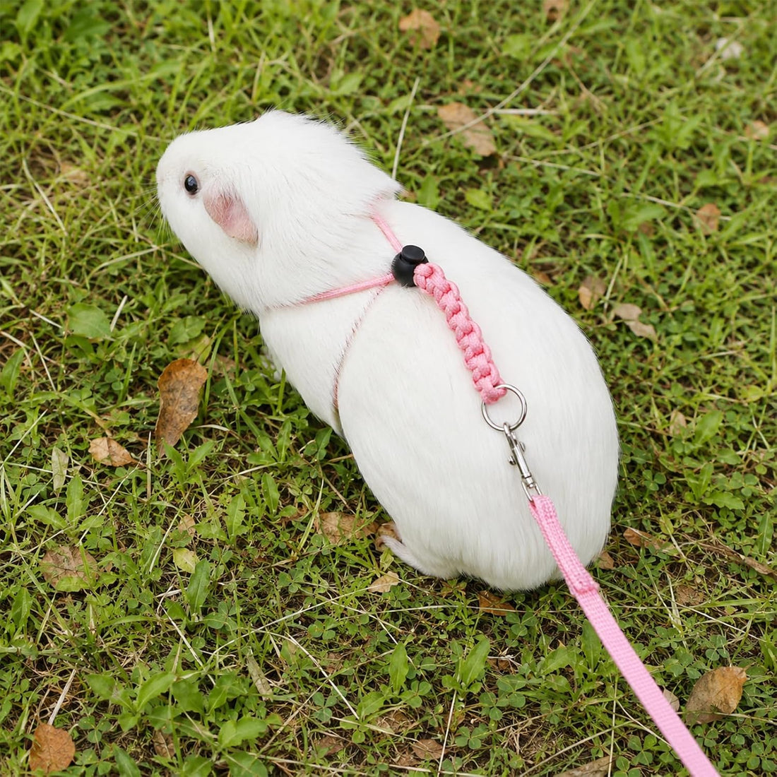 Adjustable Rabbit Harness and Leash Set, 4 Pcs Rabbit Leash