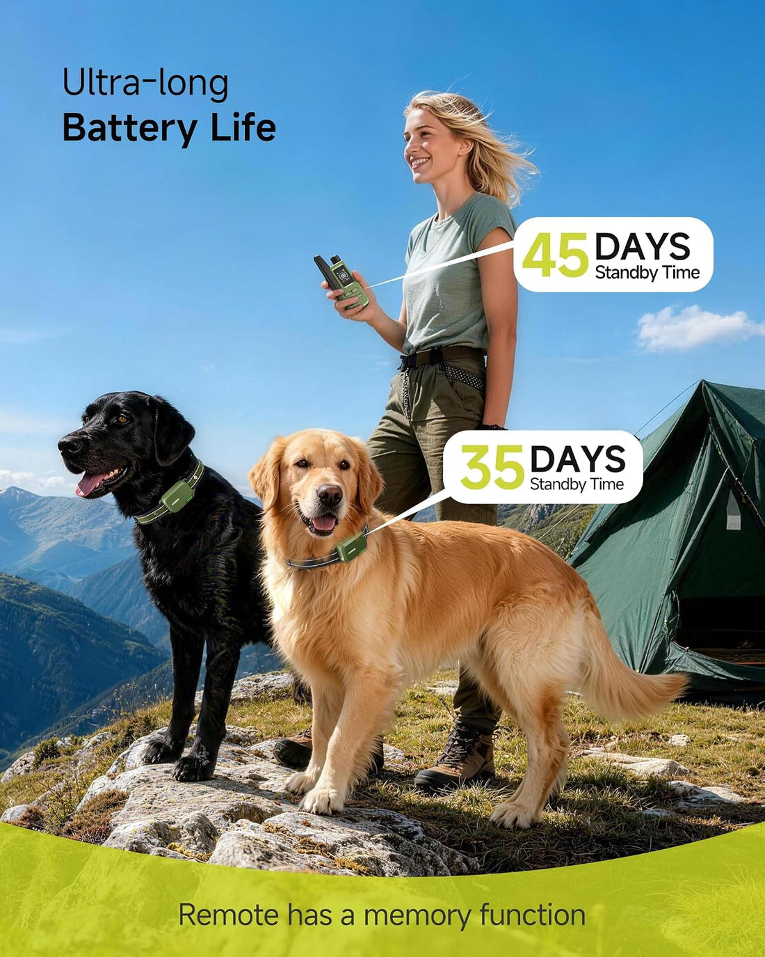 Shock Collar for 2 Dogs with Remote, 4200FT Range, Fits 10-120 lbs
