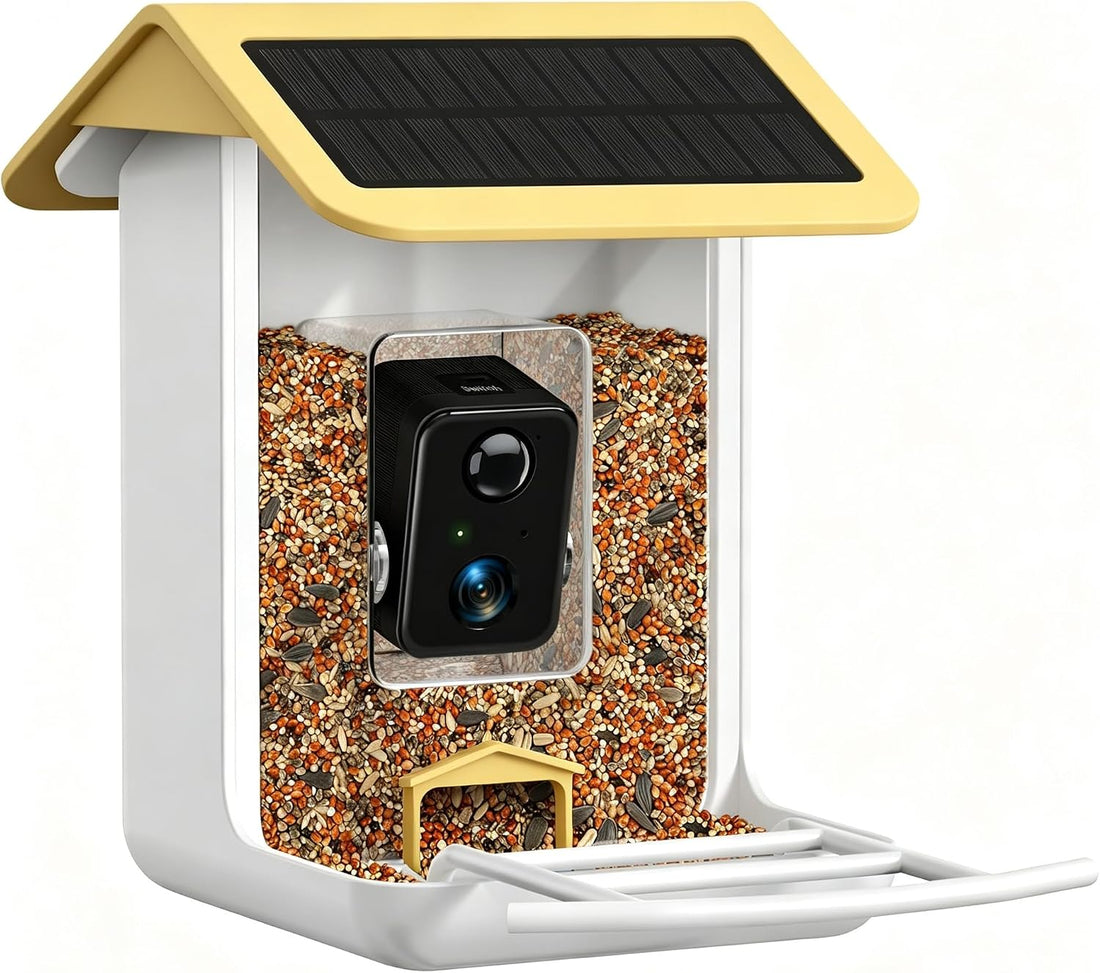 Smart Bird Feeder Camera - Free AI Forever for 1,1000+ Species