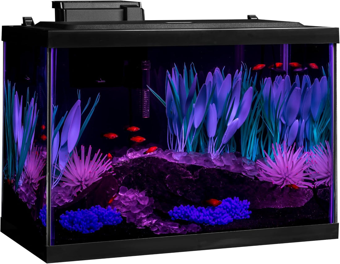 Tetra ColorFusion 20 Gallon Complete Aquarium Kit